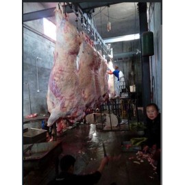 萬邦清真肉类车间产品展示