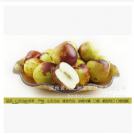 滨州黄河之洲冬枣开发有限公司