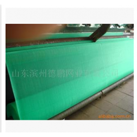 山东滨州德鹏网业有限公司