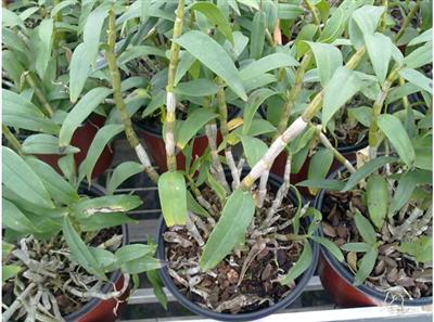 0_sdlzccw_9973_20140619173329