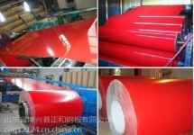 国电工程专用敷铝锌彩钢板生产厂家