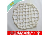 防坠网