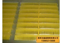 聚氨酯条缝筛网
