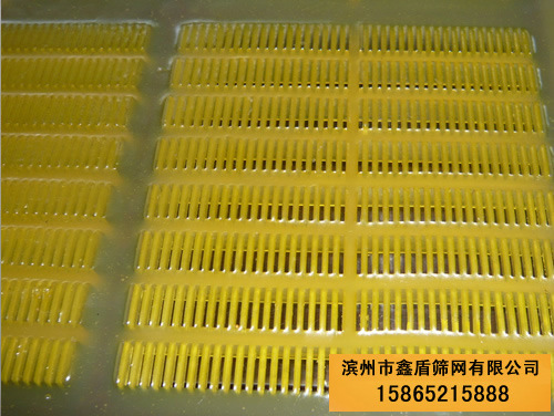 聚氨酯筛网|聚氨酯筛板|橡胶筛网|聚氨酯脱水筛网