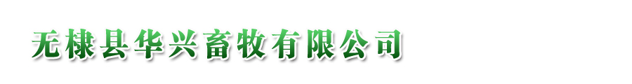 滨州市华兴畜牧有限公司