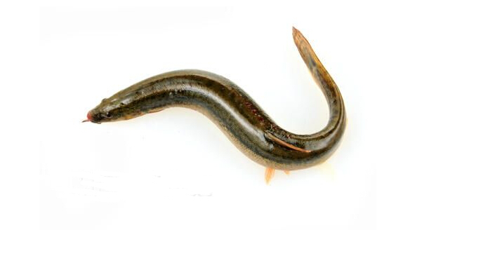 QQ截图20160226120055