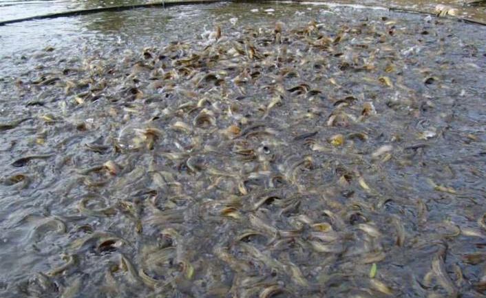 QQ截图20160226120159