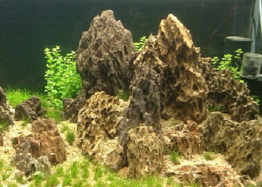 QQ截图20160304164338