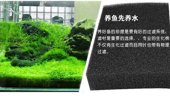 QQ截图20160304164455