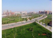 滨州学院景观绿化工程
