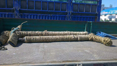 QQ截图20160425104544