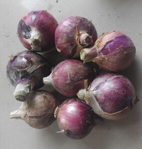 QQ截图20160427155437