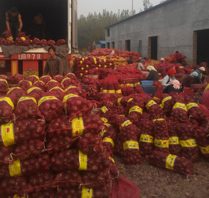 QQ截图20160427160058