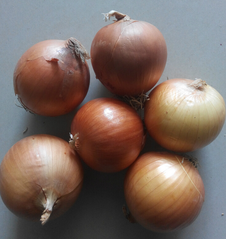 QQ截图20160427160145