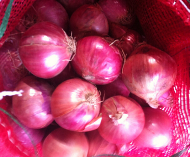 QQ截图20160427160247