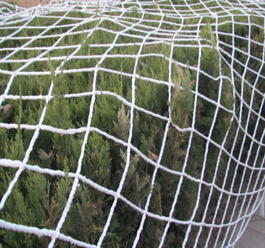 QQ截图20160512135042