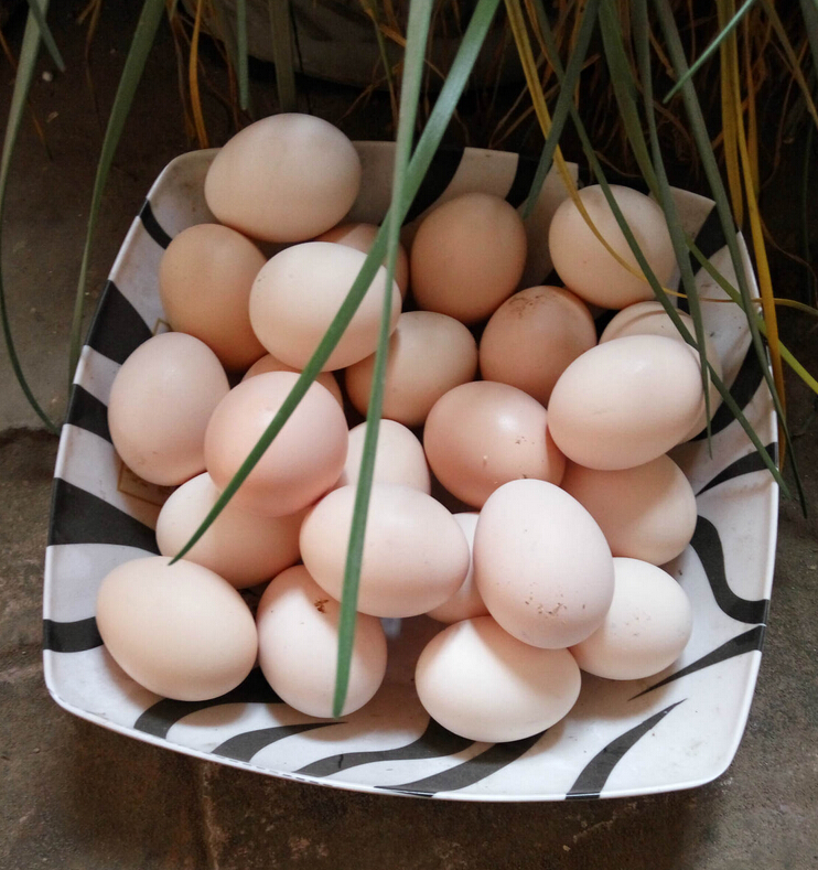 QQ截图20160517104714