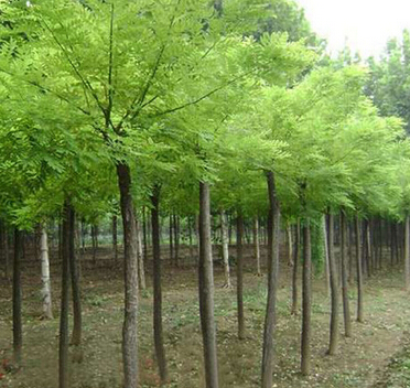 QQ截图20160524161011