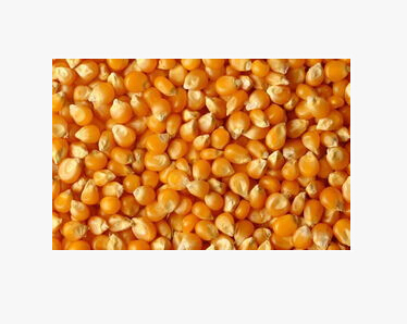 QQ截图20160524165042