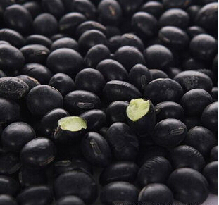 QQ截图20160524165133