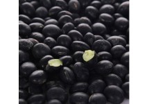 黑豆批发