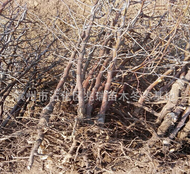 QQ截图20160524165947