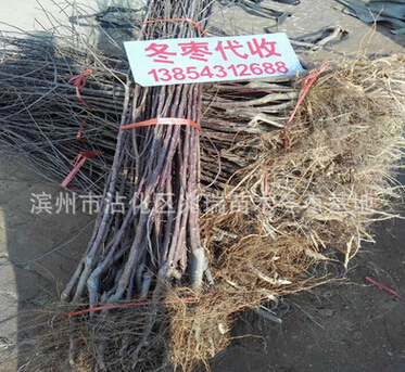 QQ截图20160524170039