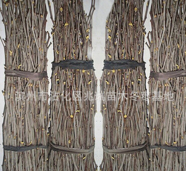 QQ截图20160524170350