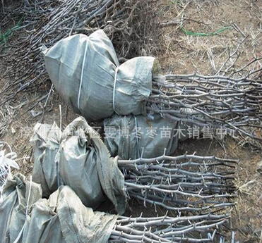 QQ截图20160525114915