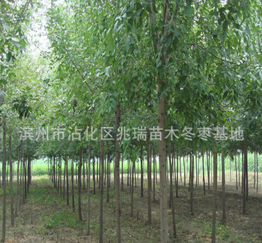 QQ截图20160525115001