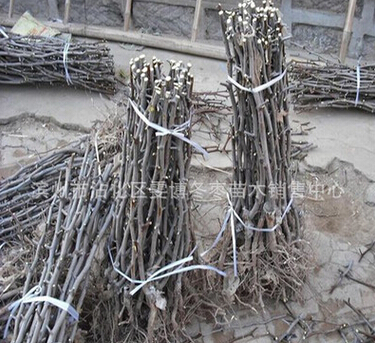 QQ截图20160525115135