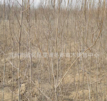 QQ截图20160525115224