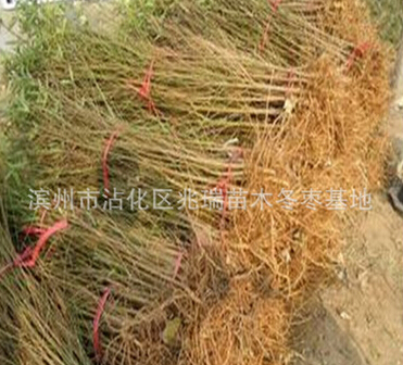 QQ截图20160525115324