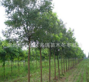 QQ截图20160525115417