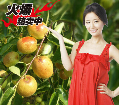 QQ截图20160525143840