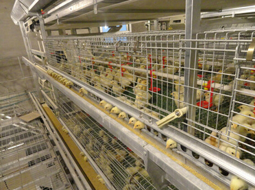 QQ截图20160526113838