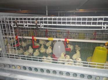 QQ截图20160526114527