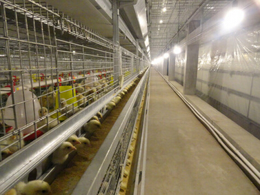 QQ截图20160526114616