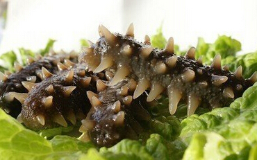 QQ截图20160526141804