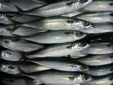 QQ截图20160526141946