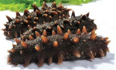 QQ截图20160526142028