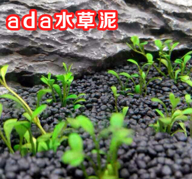 QQ截图20160526144526