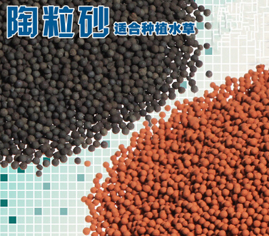 QQ截图20160526151135