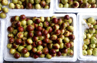 QQ截图20160530120144