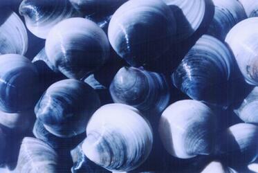 QQ截图20160825140831