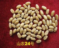 QQ截图20160922161942