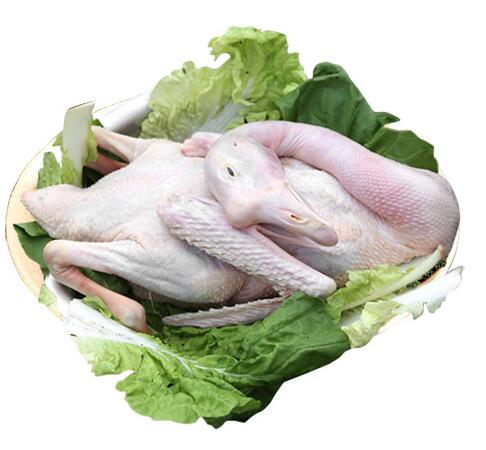 QQ截图20160923113657