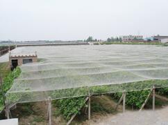 QQ截图20161207113308