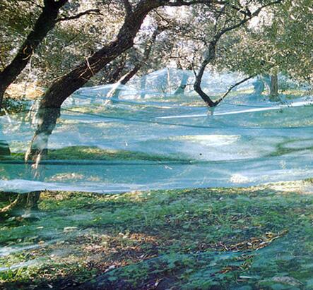 QQ截图20161207113354