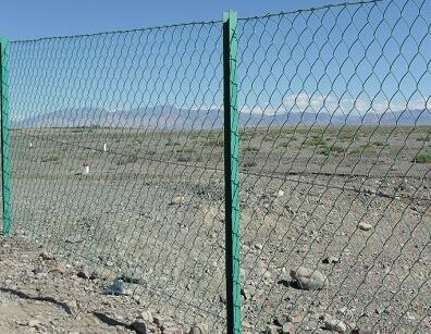 QQ截图20161207113524